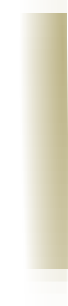 wp531b2a25.png